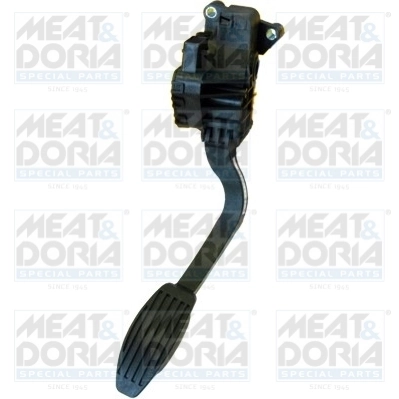 Accelerator Pedal Unit